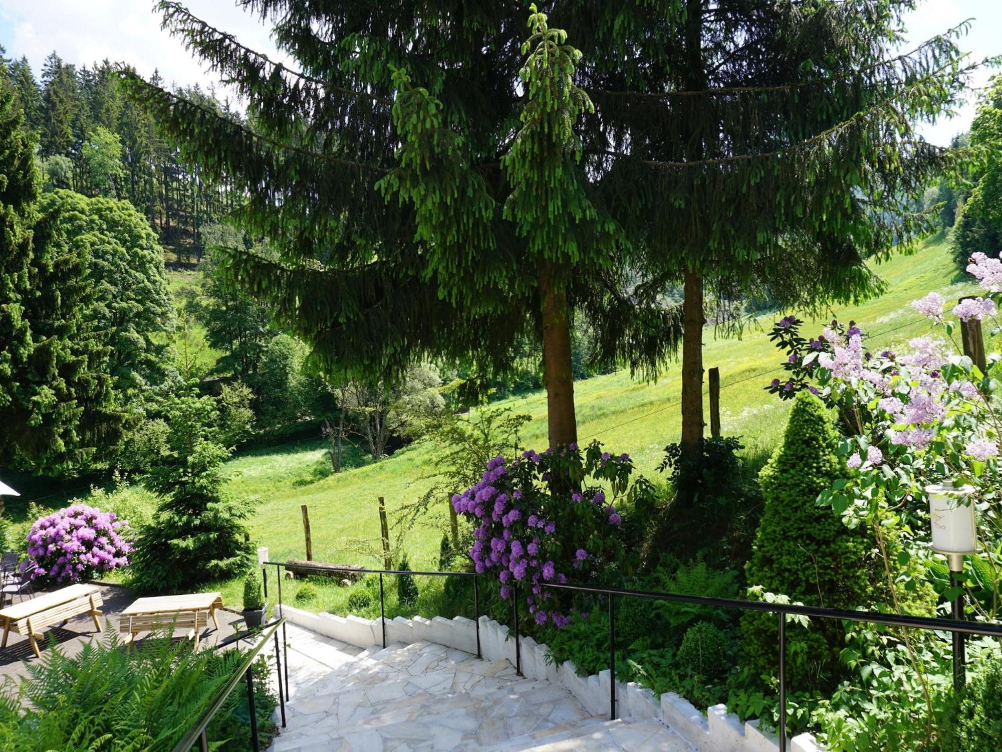 Ferienhaus Exclusive Group House In In The Forest
