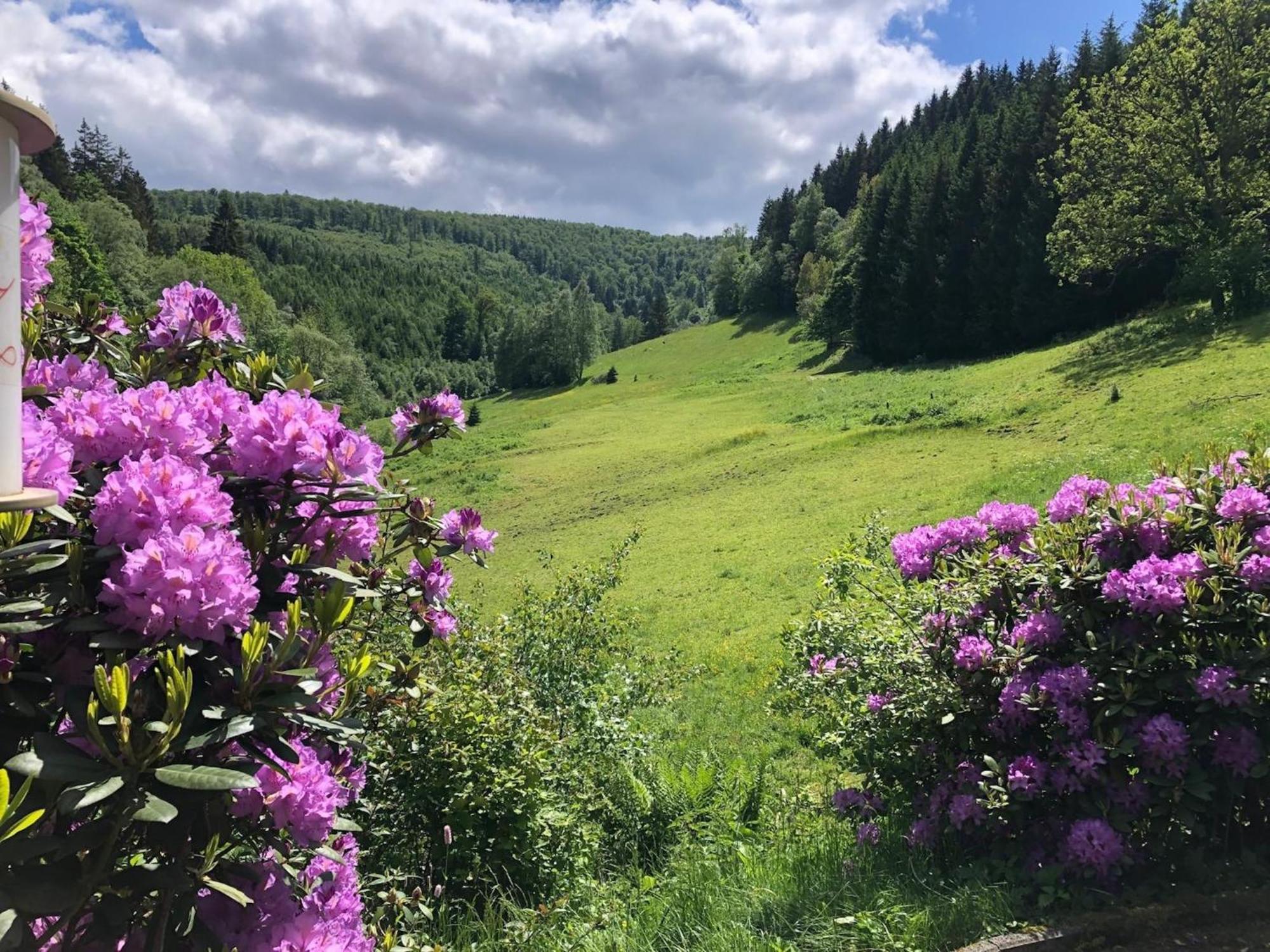 Exclusive Group House In In The Forest * Winterberg