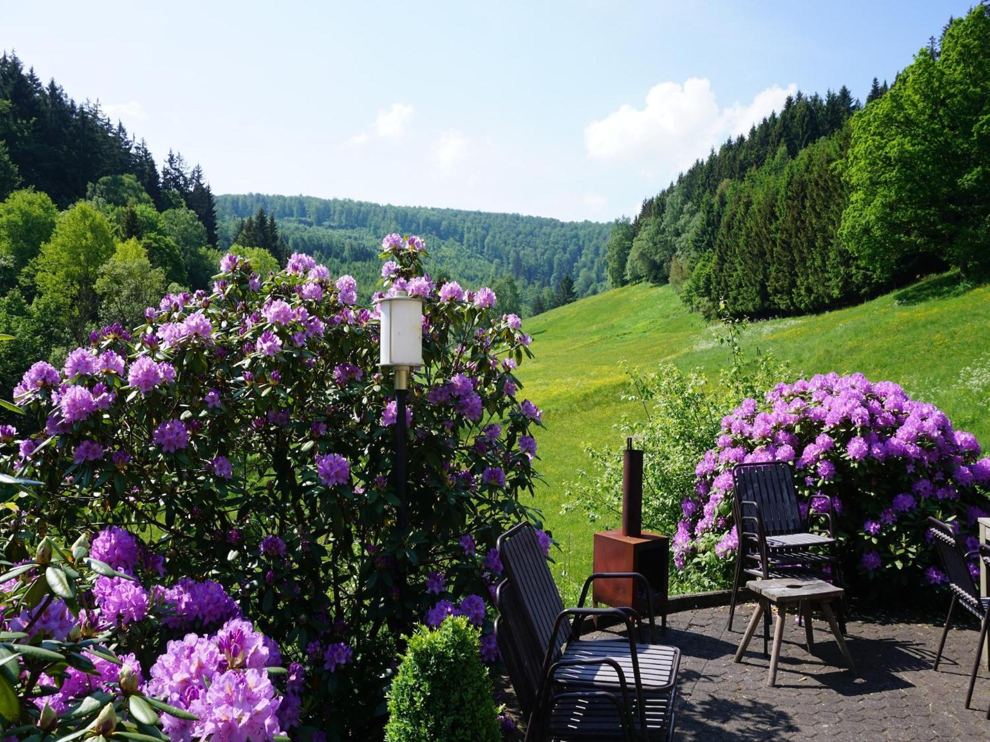 Exclusive Group House In In The Forest Ferienhaus *