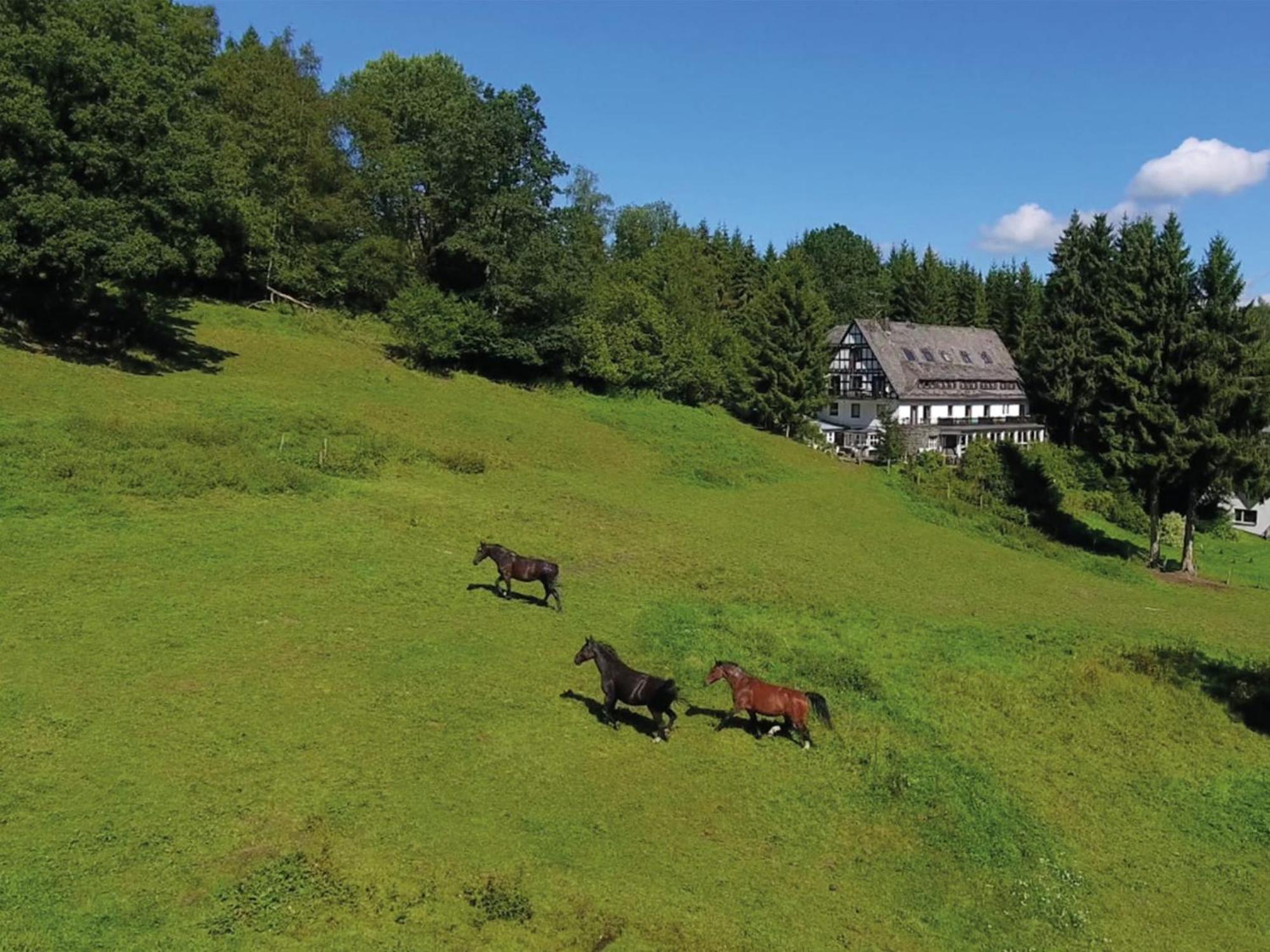 Exclusive Group House In In The Forest
